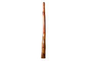 Tristan O'Meara Didgeridoo (TM453)